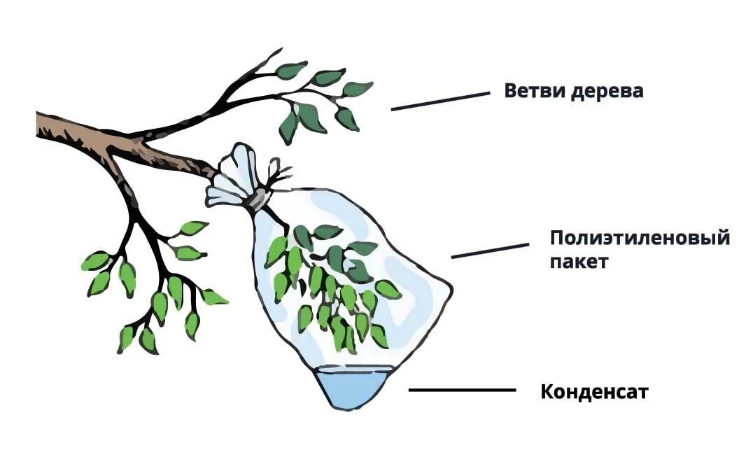 инсульт симптомы. с помощью системы оценивания можно. интересные техники рисования. памятка пищевые отравления. как удалить клеща в домашних условиях у человека присосавшегося.