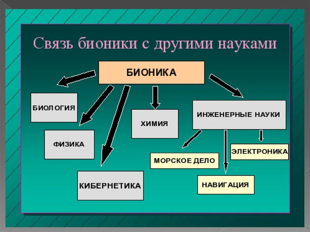 Бионика направление биологии и кибернетики. Бионика как одно из направлений биологии и кибернетики. Бионика конспект биология. Связь бионики с другими науками. Современные направления биологии