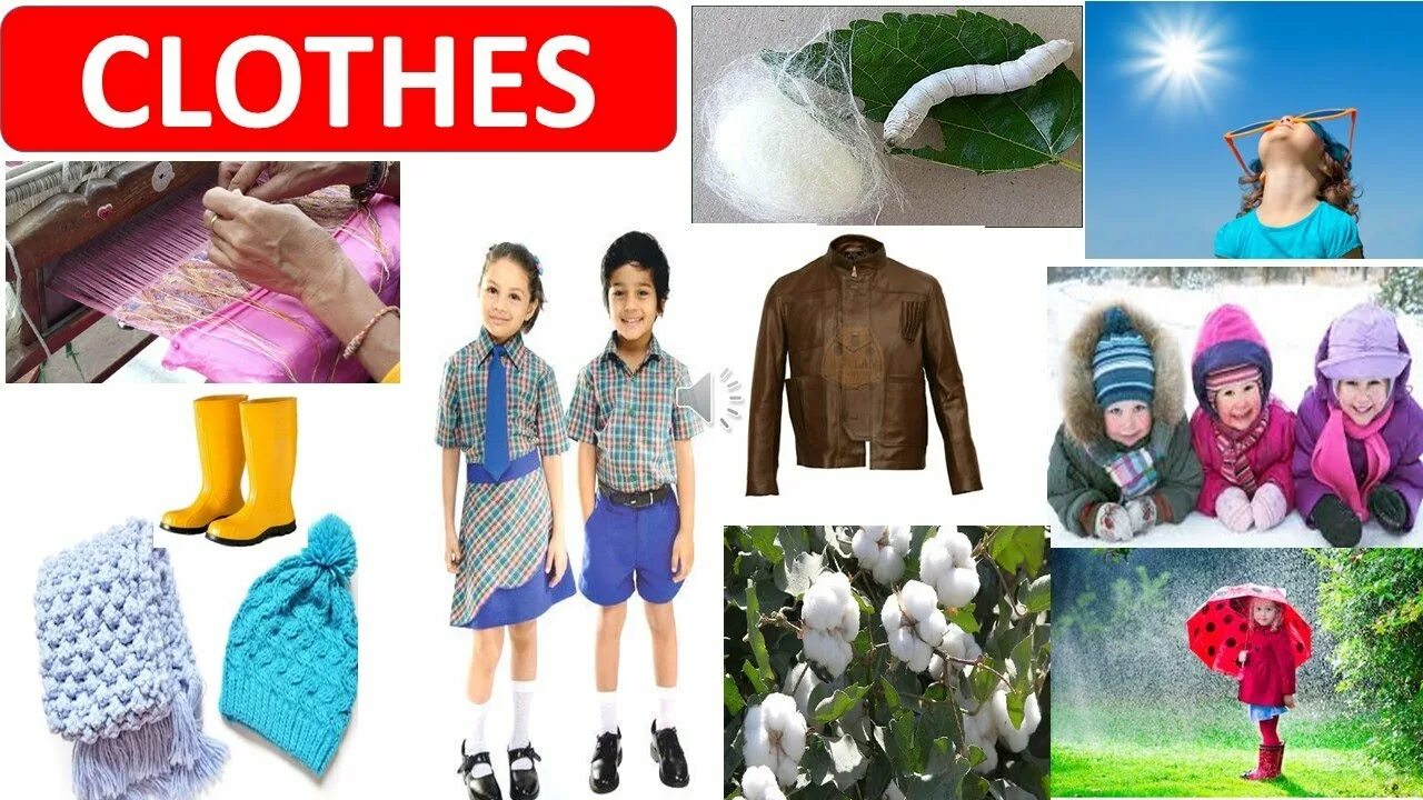 Myseasons