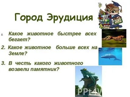 В честь какого животного названа