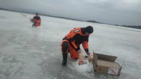 Начинать спасти