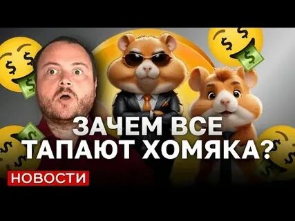 Новый миллион в хомяке