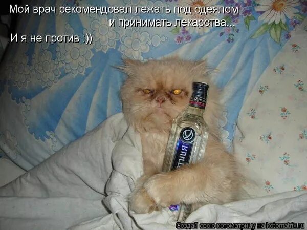 Доброе утро после дня рождения картинки прикольные Hate this!!! Funny good morning quotes, Morning humor, Good morning funny