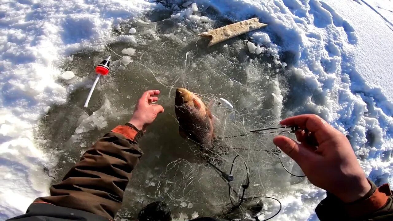 Зимняя ловля видео. Хапуга для зимней рыбалки. Хапуга для рыбалки зимой. Рыбалка в Сибири хапугой. Ловля на хапугу зимой.