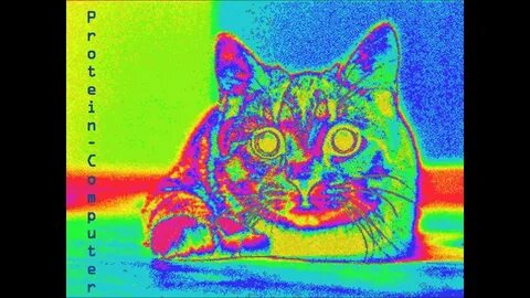 Игры разноцветные коты
