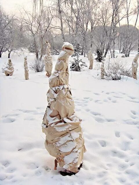 Укрытие деревьев на зиму в саду. Укрытие плодовых деревьев. Как укрыть деревья на зиму. Колоновидная яблоня укрытие на зиму. Как укрыть деревья на зиму.