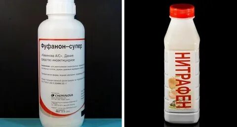 Обработано 0