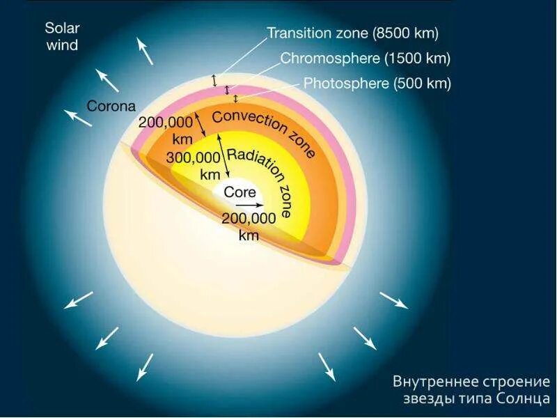 Строение звезд красных гигантов и сверхгигантов. Строение конвективной звезды. Строение звезд до солнечной массы. Красные гиганты звезды страенне. Внутреннее строение звезд.