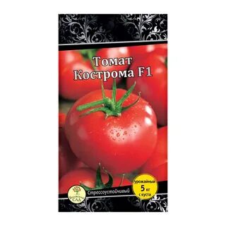 Сорта томатов кострома отзывы