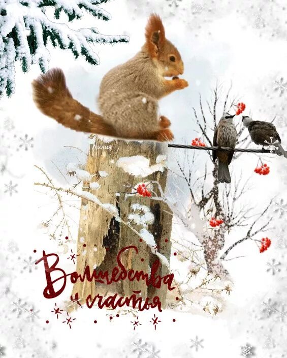 Открытка зимняя. Хорошего зимнего. Открытки с зимним вечером. Желаю зимних чудес. Желаю зимних чудес.