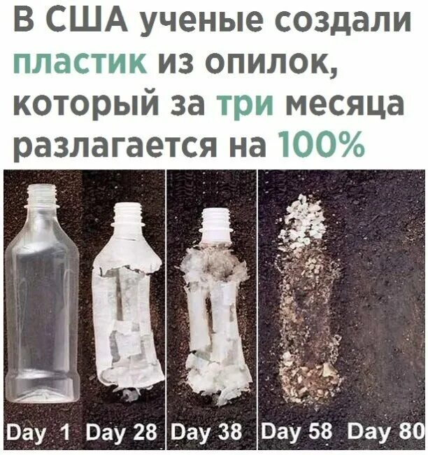 Сколькоразлагаеися пластик. Разложение пластиковой бутылки. Пластмасса разлагается. Сколько разлагается мусор. Разрушение пластмасс.