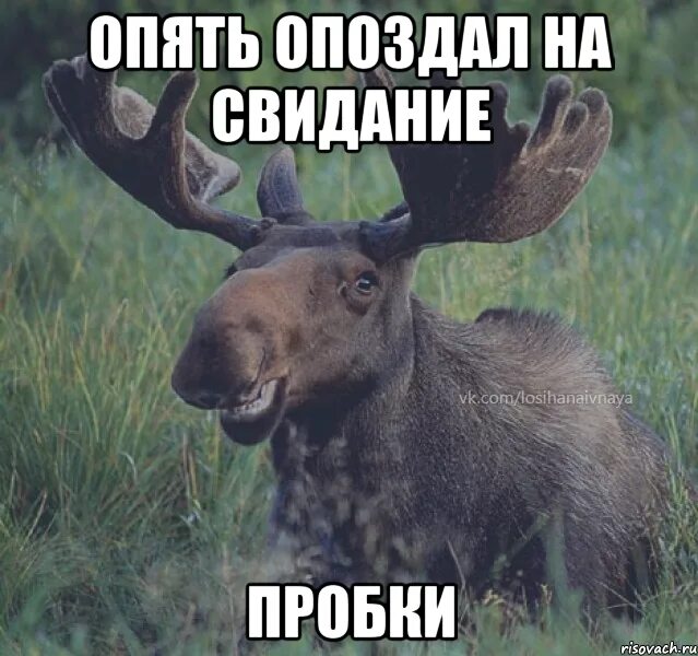 Ладно встречай