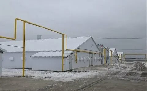 Птицефабрика сергиев посад