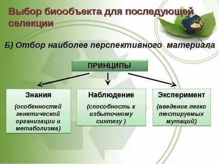 Методы селекции биотехнологии