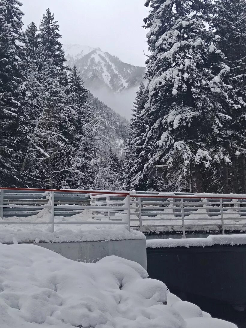 Теберда зимой. Тебердинский заповедник Домбай зимой. Тебердинский заповедник зимой