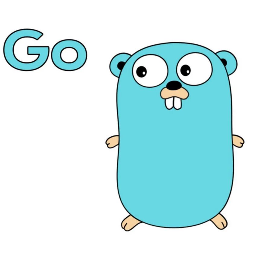 Golang value. Язык программирования голанг. Гофер голанг. Golang Маскот. Go golang язык программирования.