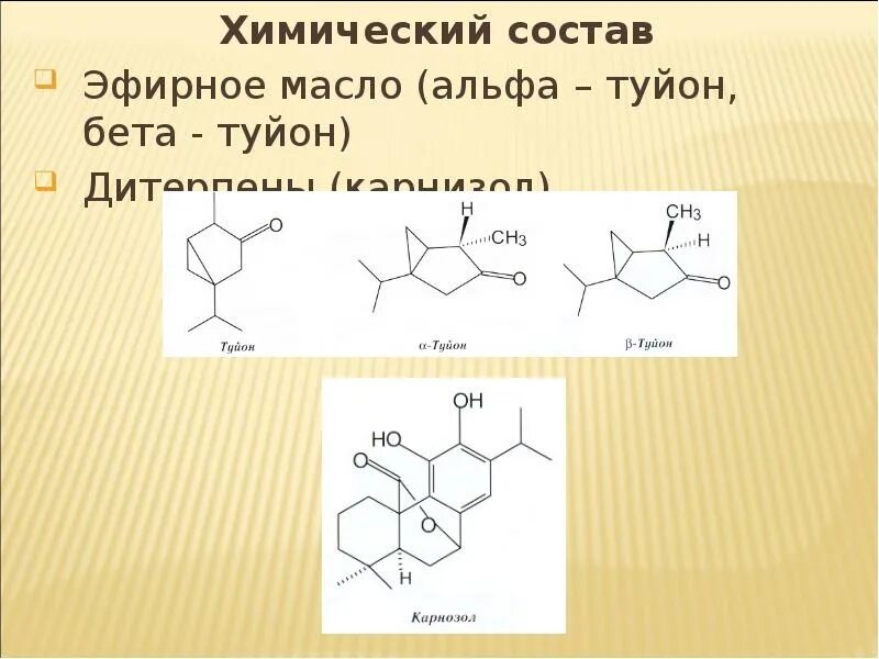 Эфирные масла формула. Эфирные масла формула химическая. эфирное масло формула химия. туйон структурная формула. бета туйон.