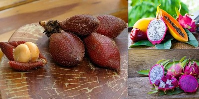 экзотические фрукты фото