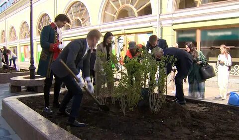 Посадки спб