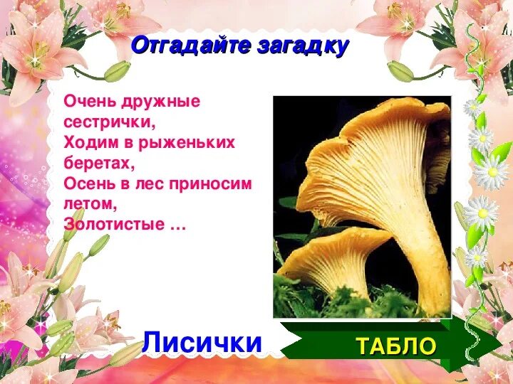 Лисички многозначное слово. Кто вы лисички дружные сестрички. Кто мы мы лисички дружные сестрички. Кто вы мы лисички дружные сестрички знаки. Кто вы мы лисички дружные сестрички знаки.