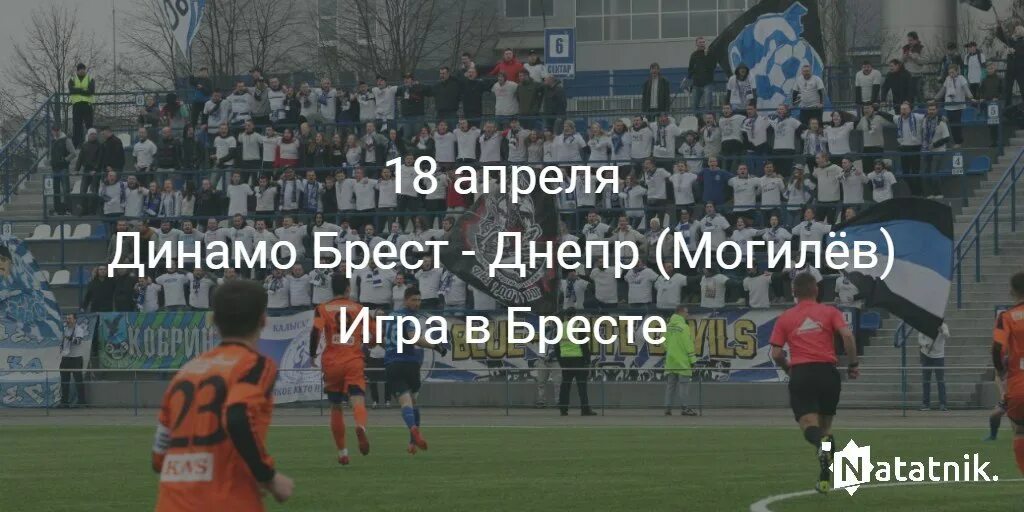 Динамо брест днепр могилев прогноз. Динамо брест днепр могилев прогноз