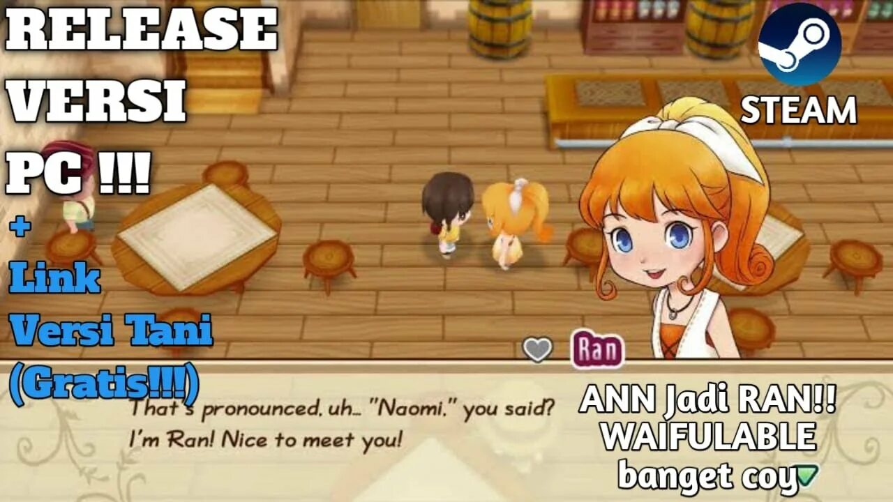 Mineral town. Paralives игру обложка. Story of seasons friends. Story of seasons a wonderful life. Story of seasons friends.