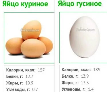 Белки в 100 граммах яиц куриных