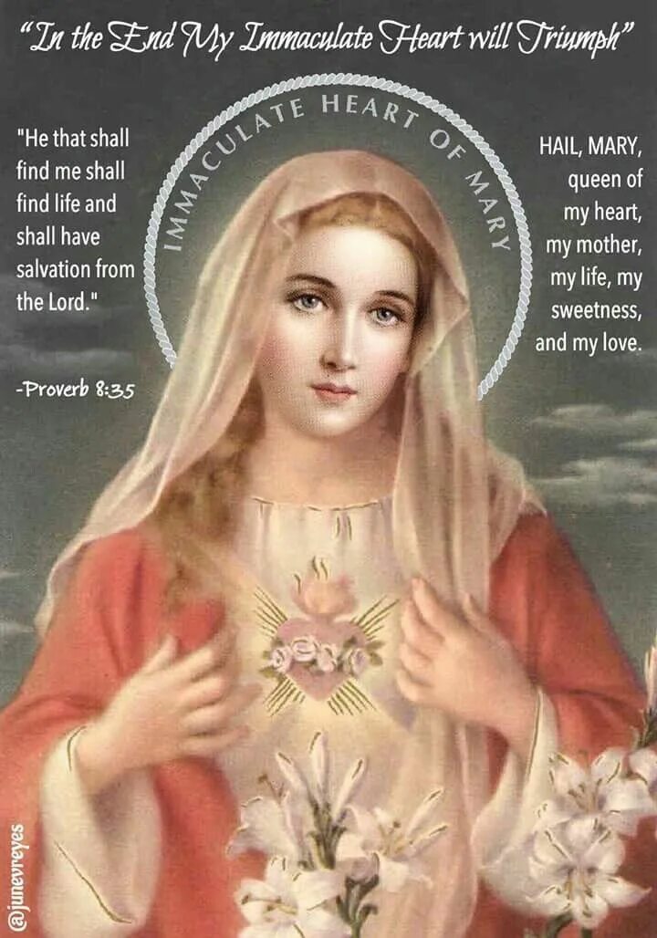 Virgin mother. Католическая молитва святой марии. Virgin mother. Virgin mother. Virgin mother.
