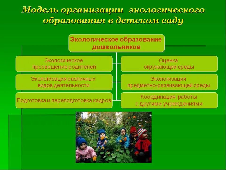 Что является экологическим результатом. Экологические для дошкольников. Экологическое образование дошкольников. Экологическое воспитание. Экологическое воспитание в садике.