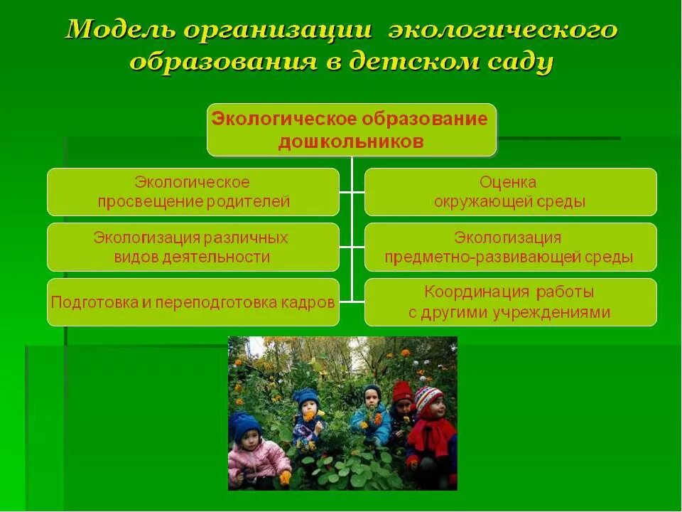 Создание условий для экологического воспитания детей. Экологические для дошкольников. Экологическое образование дошкольников. Экологическое воспитание дошкольников. Экологическое воспитание в садике.