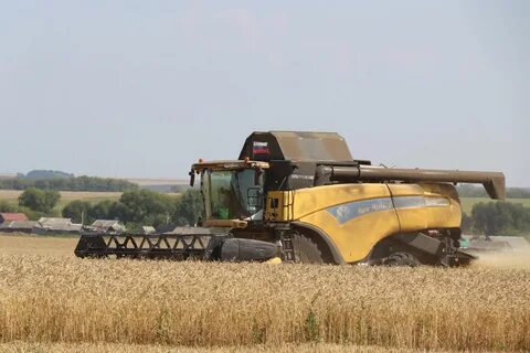 Уборочная кампания или компания