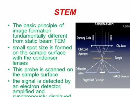Transmission microscopy