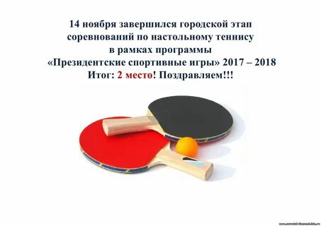 Программа по настольному теннису для дополнительного образования