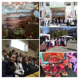 Воронежский перерабатывающий техникум