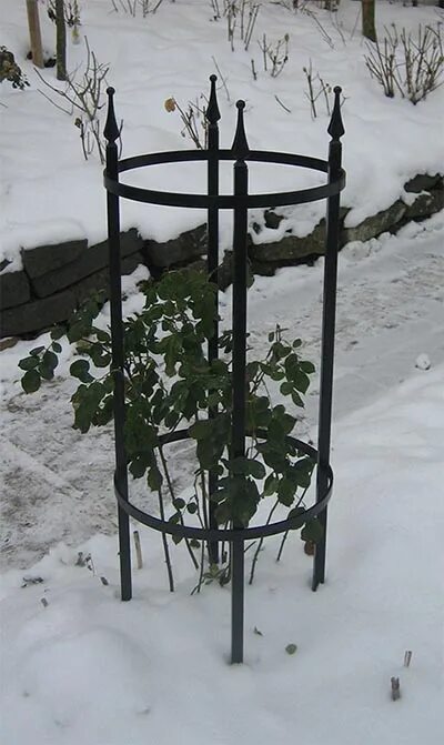 Опора вигвам клематис. Шпалера sadagro жук. Каркас для роз. Каркас для роз. Опора металл клематис.