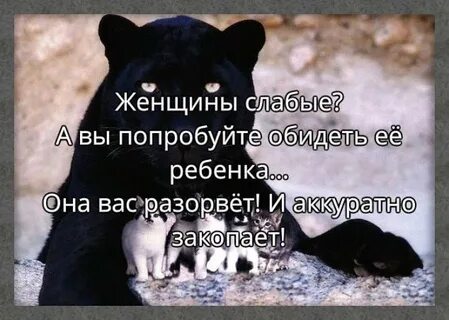 Обижать мне больше некого