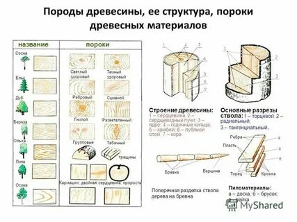 Очередь на получение древесины