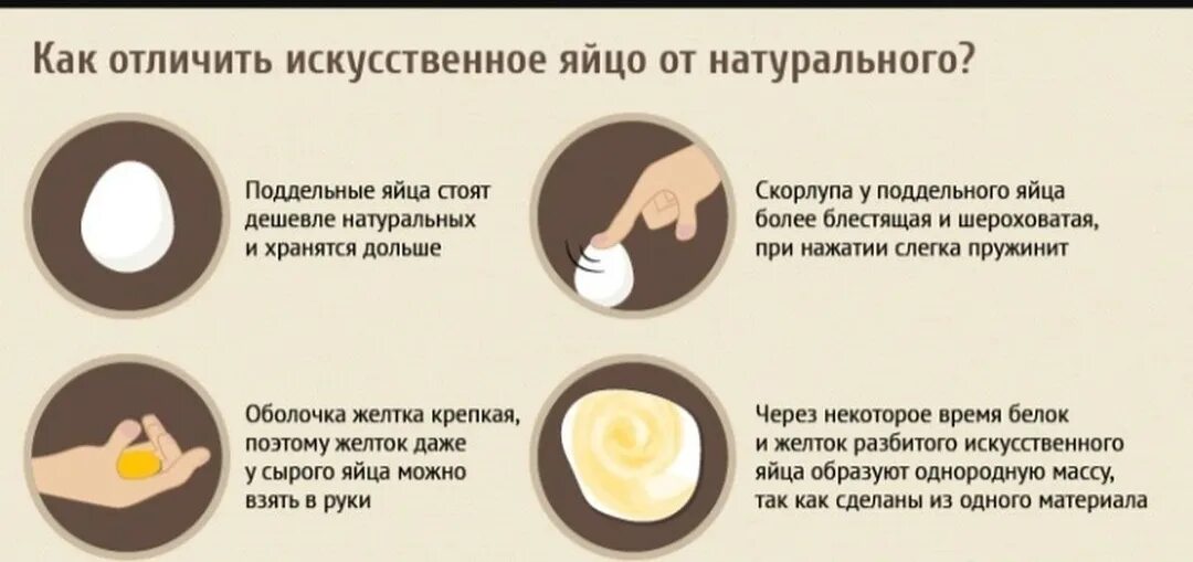 Почему у яиц запах. Почему у яиц запах