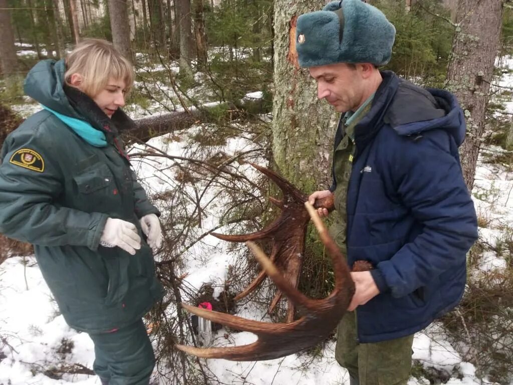 Огудневское лесничество. Лесничие. Поселок Огудневского лесничества. Видео найденное случайно