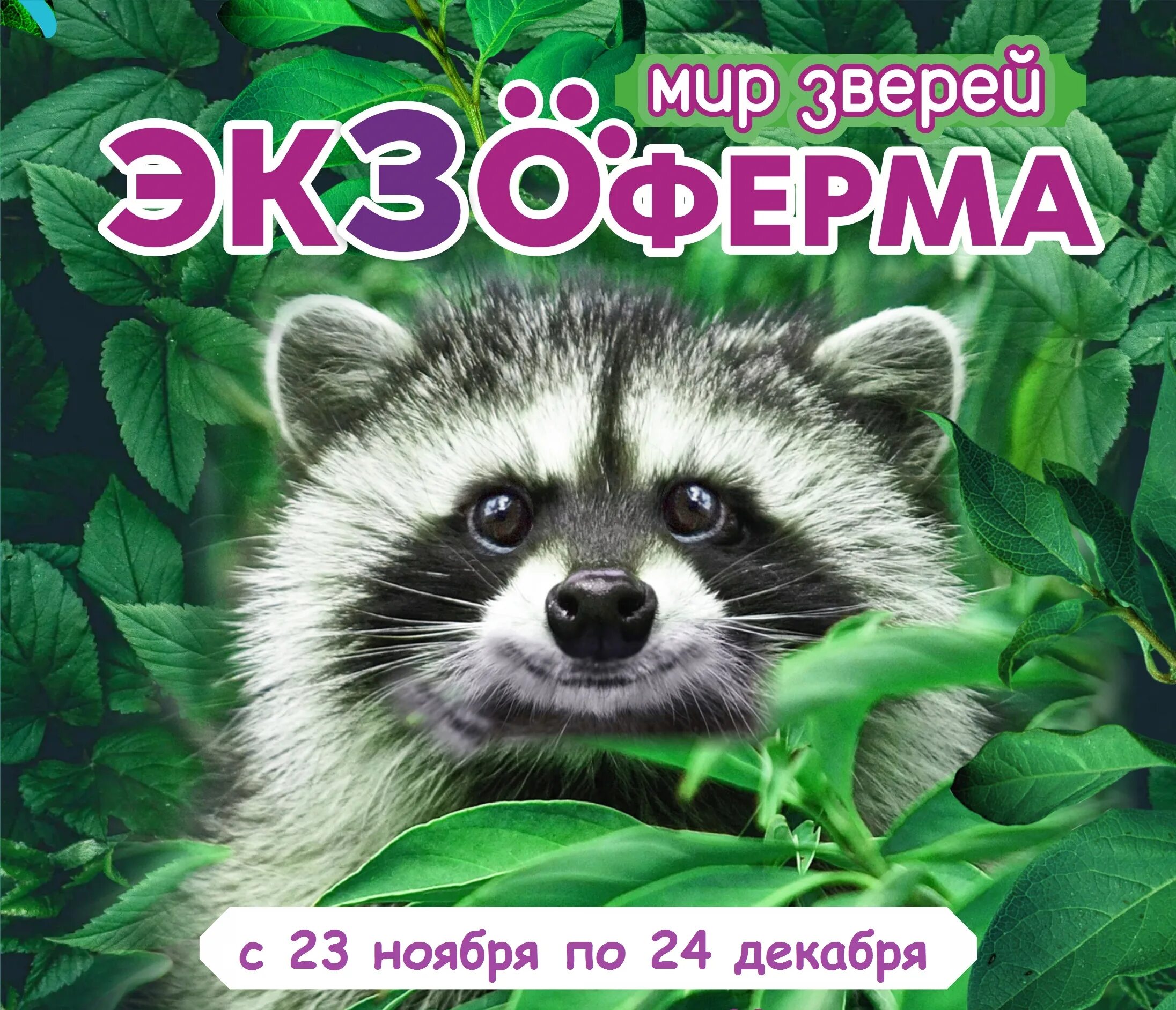 Экзоферма