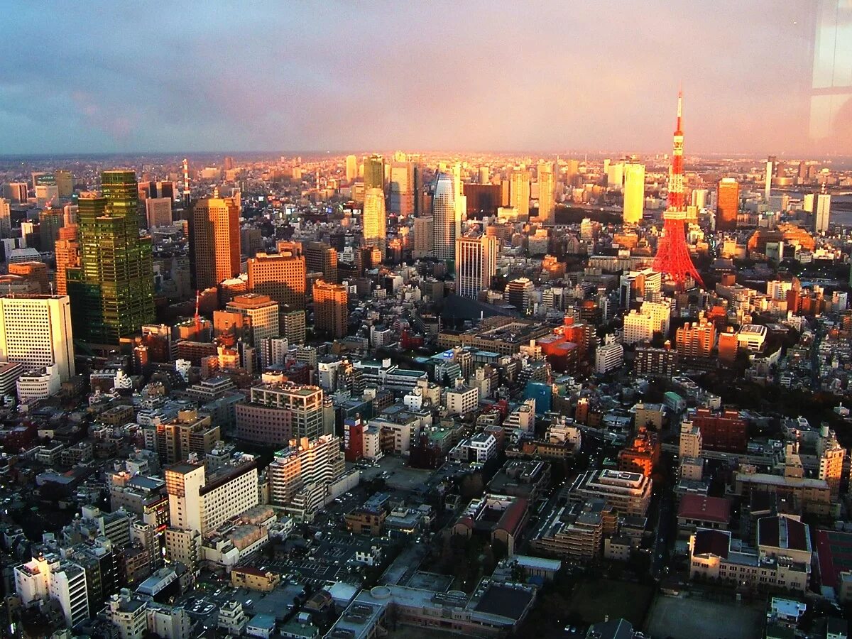Япония крупнейший в мире. Япония город Токио. Префектура Токио. Токио столица. Япония утро Токио.