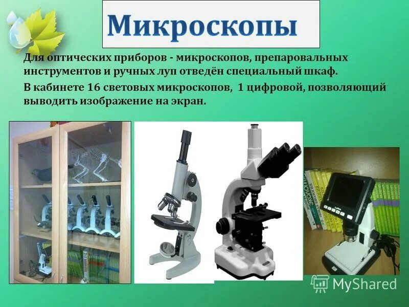 Чем цифровой микроскоп отличается от цветового. Чем цифровой микроскоп отличается от цветового