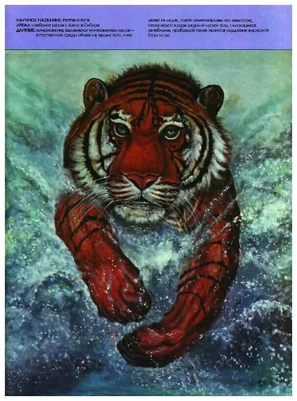 книга про исчезнувших животных