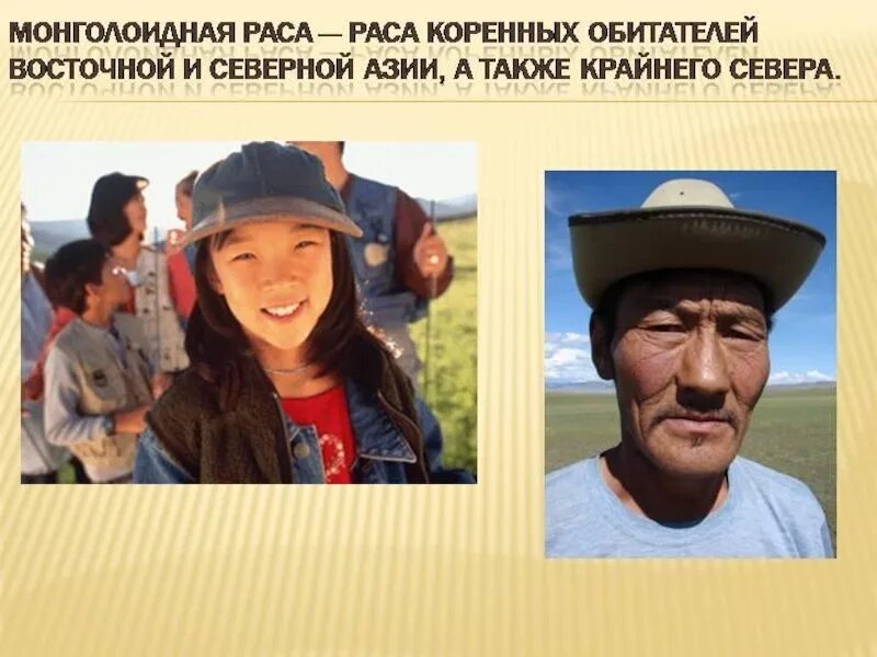 Какие губы у монголоидной расы. Типы монголоидной расы.