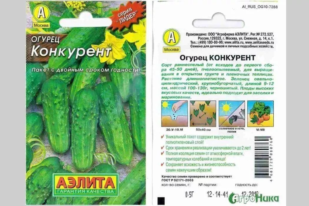 Сорт огурца конкурент отзывы. Огурцы конкурент описание сорта. Сорт огурца конкурент отзывы. Аэлита огурец конкурент. Огурец феникс семена алтая.