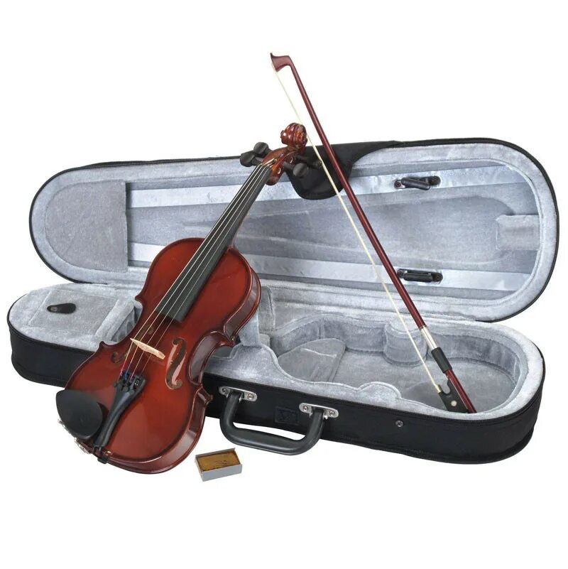 Скрипка Stagg vn-4/4. Скрипка Stagg VL 1/4. Скрипка Stagg Violin 4/4. Скрипка 3/4 Stagg. Triangel violin classic