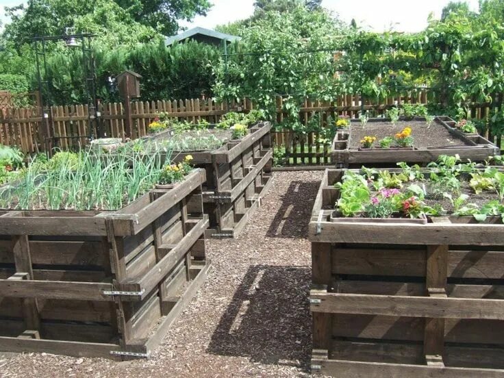 Красивые и высокие грядки своими руками +100 фото идей и вариантов Cedar raised 