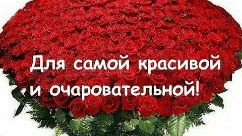 Самый красивый цветок текст