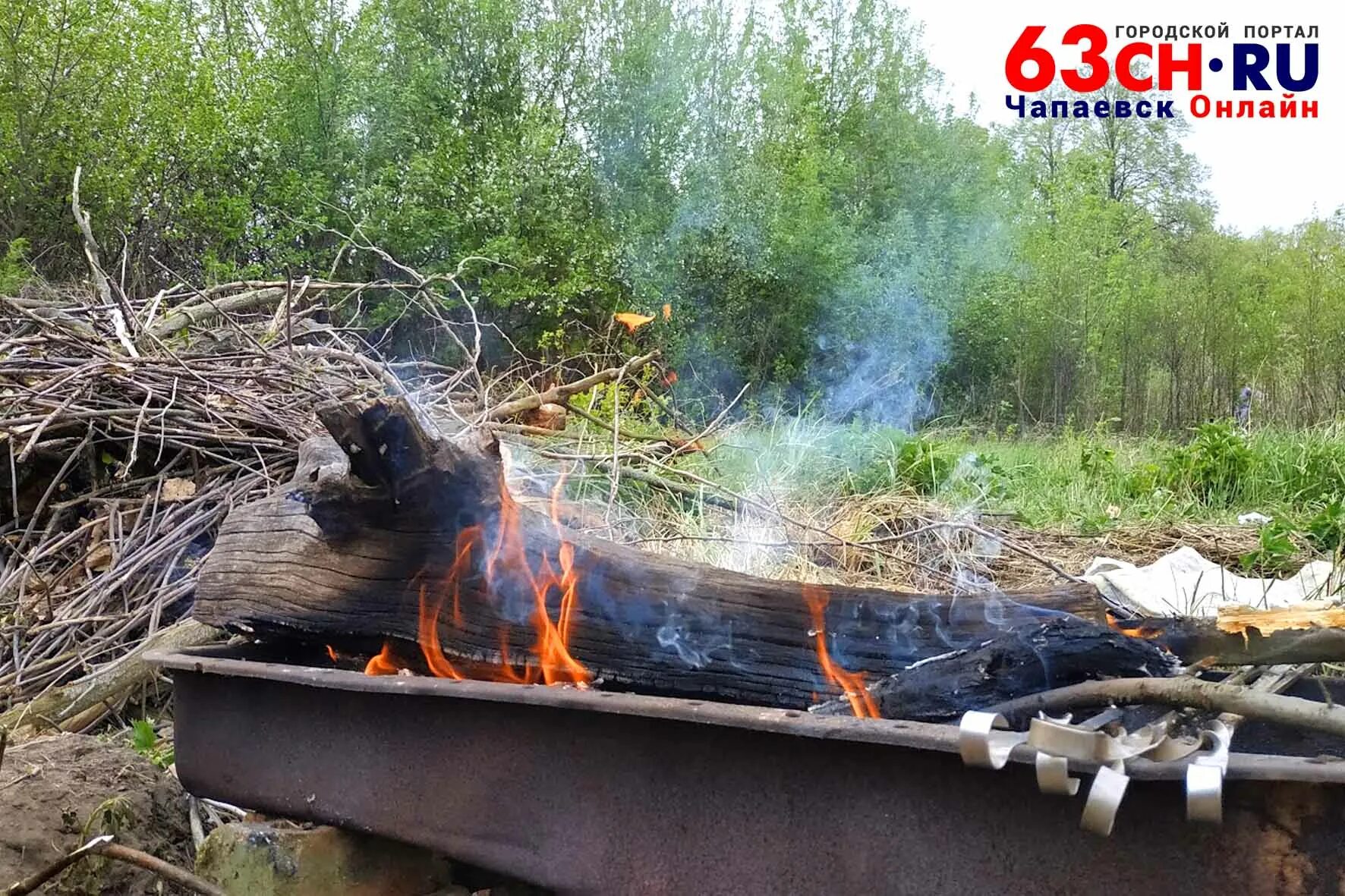 Можно ли сжигать траву на своем участке