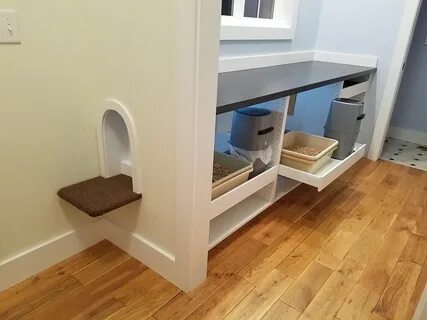 Где спрятать кота